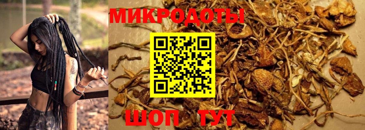 где купить наркоту  Псилоцибиновые грибы Psilocybine cubensis  Вход с VPN  Солнечногорск 